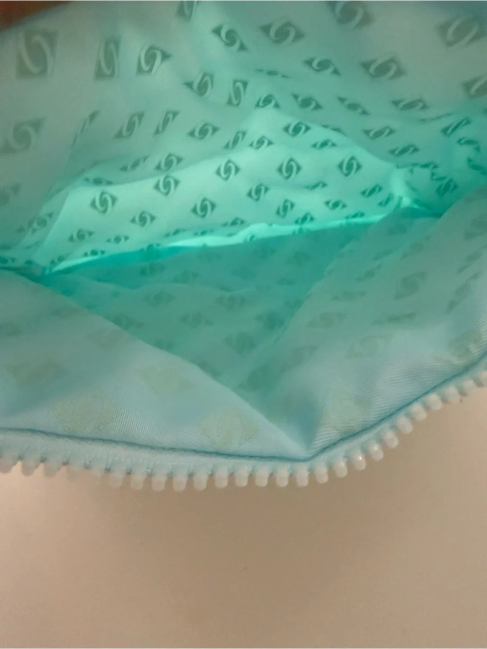 Skin Ceuticals Padded Light Aqua Cosmetic Pouch - Women Bags